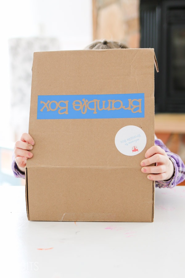 Bramble Box Review, subscription box for kids