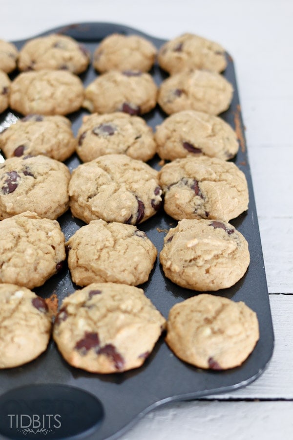 Healthy Banana Ricotta Muffins | These yummy, moist muffins are full of good things for kids and adults. Made from whole wheat and ricotta cheese, minus any oils or sugar - you can whip these up and feel good eating them by the handfuls!