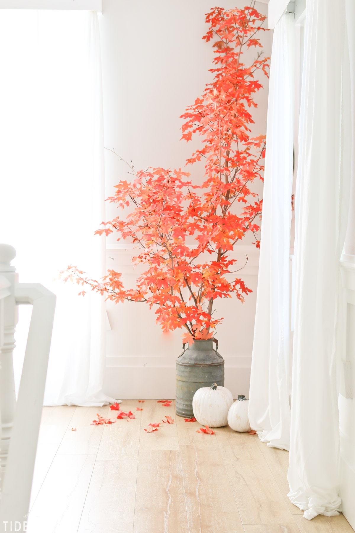 Enjoy the changing color of leaves outside and inside the home! Fall leaves in decor, by TIDBITS.