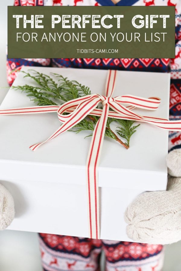 gift idea for anyone on your list