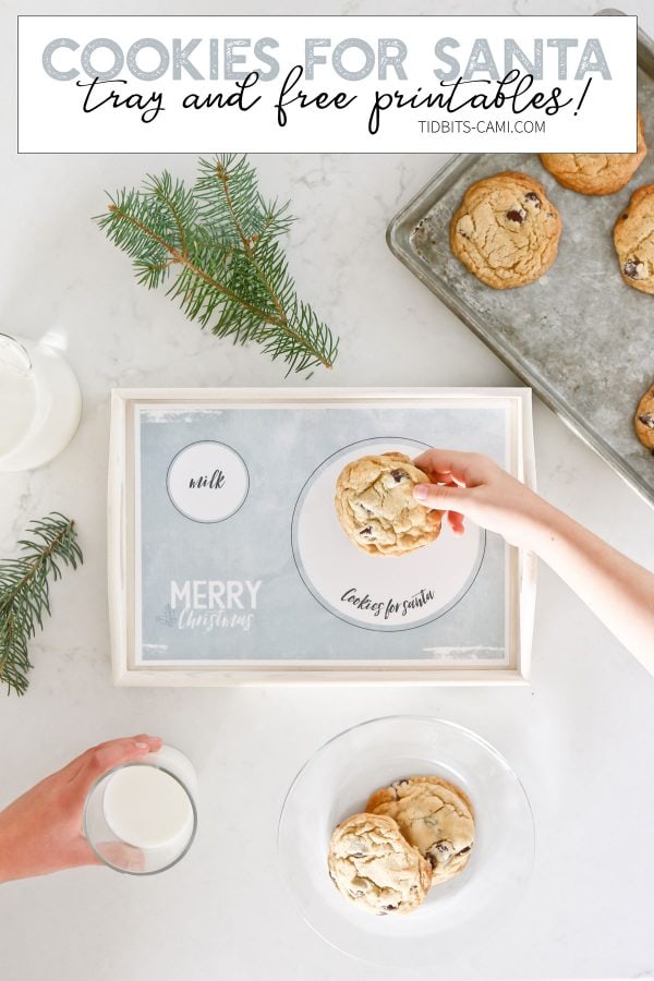 milk and cookies for santa tray