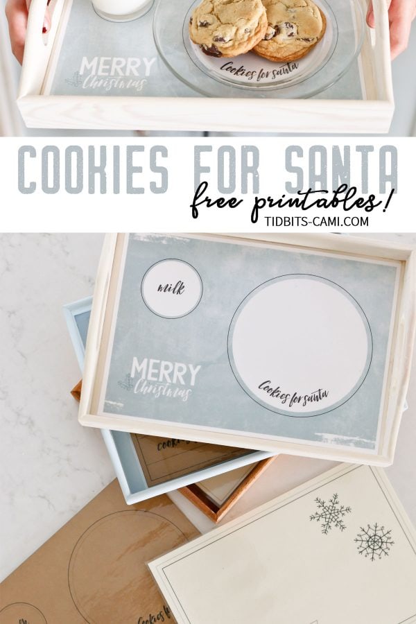 milk and cookies for santa tray