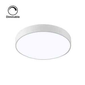 Minamalistic Flush Mount Light