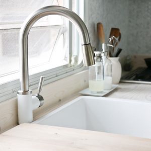 BLANCO SONOMA Pull Down Faucet