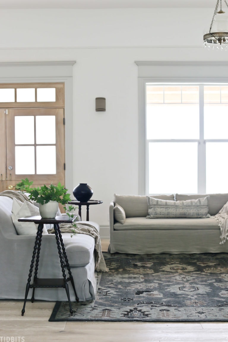 Living room updates | Couches and Rug