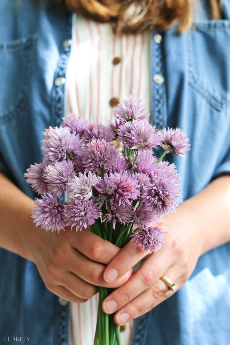 A woman holds a handful of chive blossoms