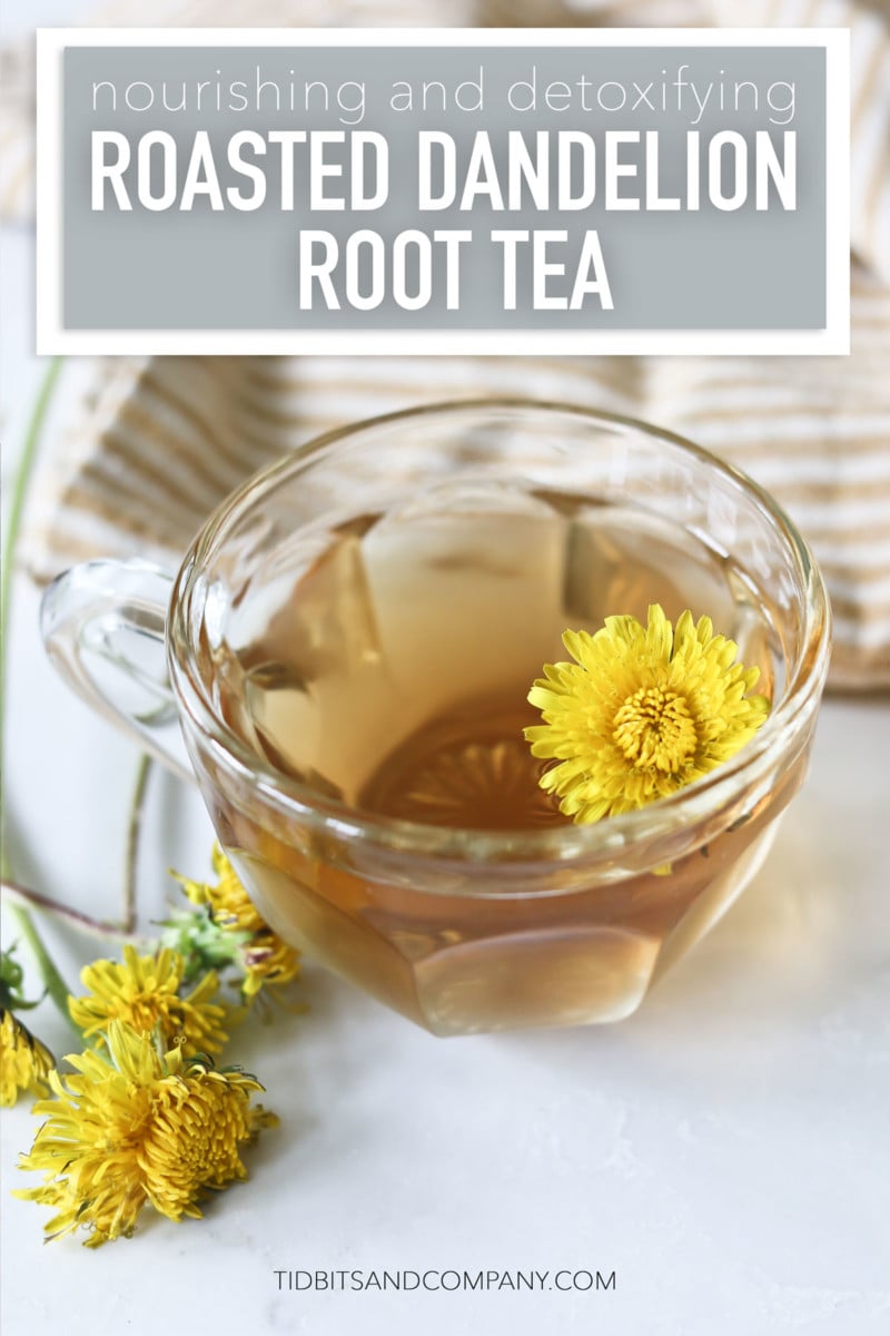 How to Make Nourishing Roasted Dandelion Root Tea - The Keeper of the Home