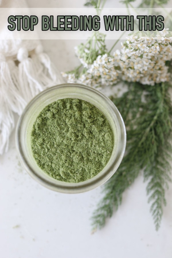 Stop bleeding with yarrow wound powder