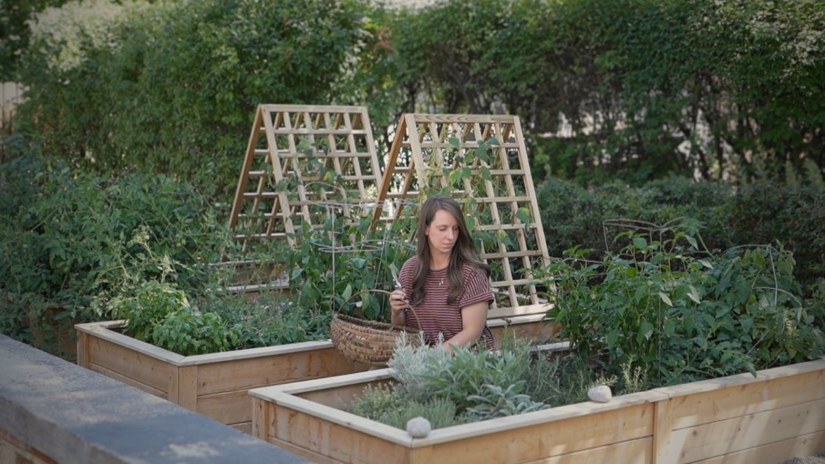 The 10 Best Garden Herbs to Grow at Home - The Keeper of the Home