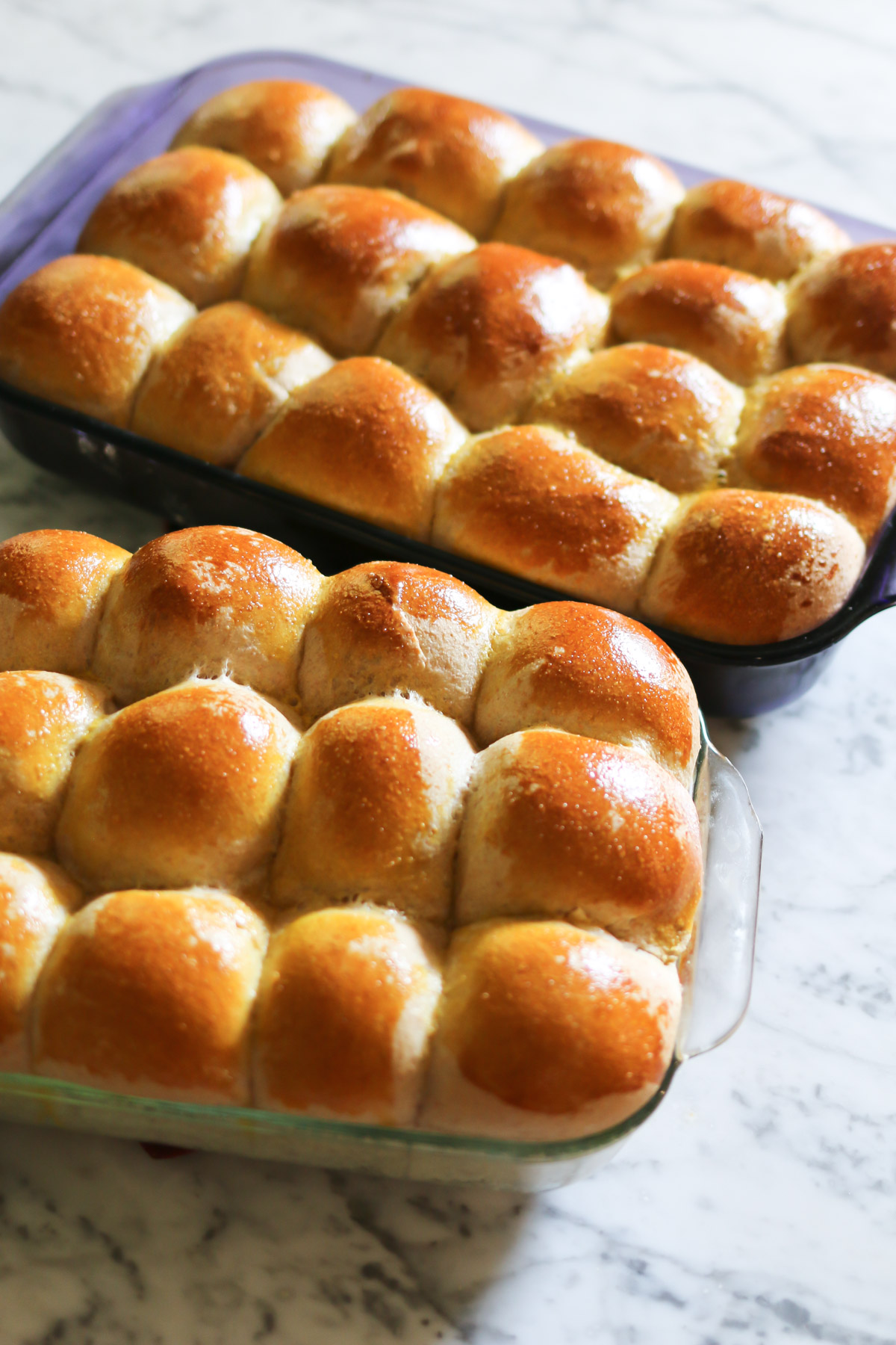 Two baking pans are filled with freshly baked homemade whole wheat rolls