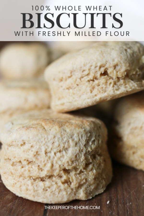 Several homemade biscuits made with freshly milled whole grain flour
