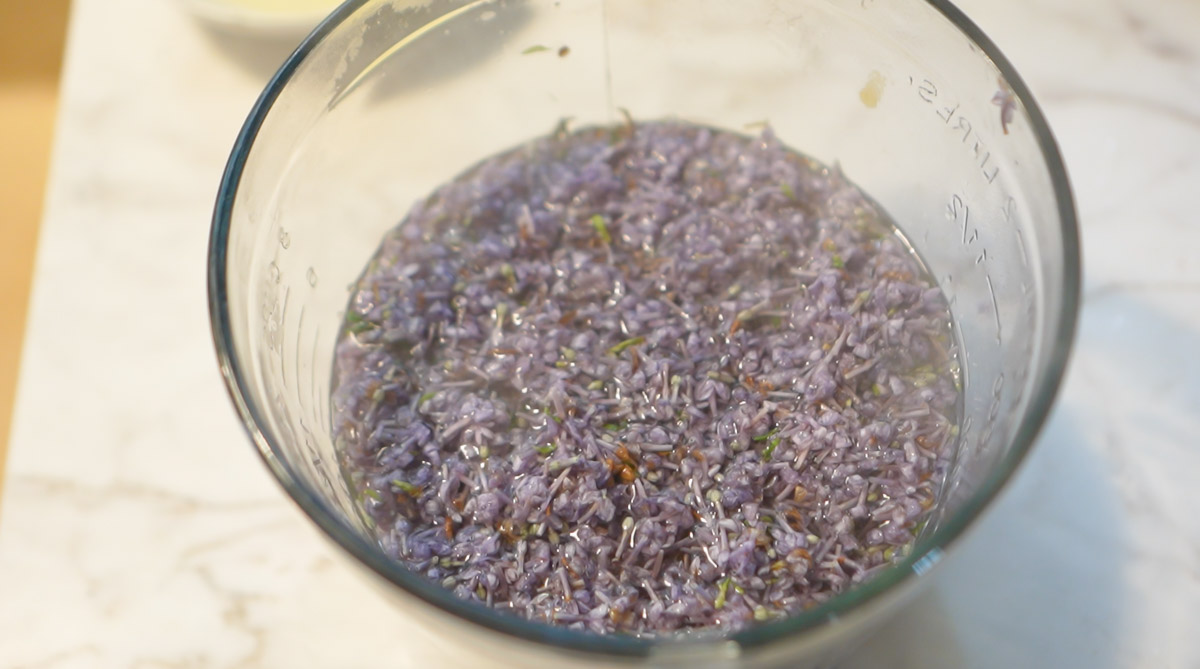 Lilac petals, purple yam powder, blueberries and hot water steep together to make a lilac tea