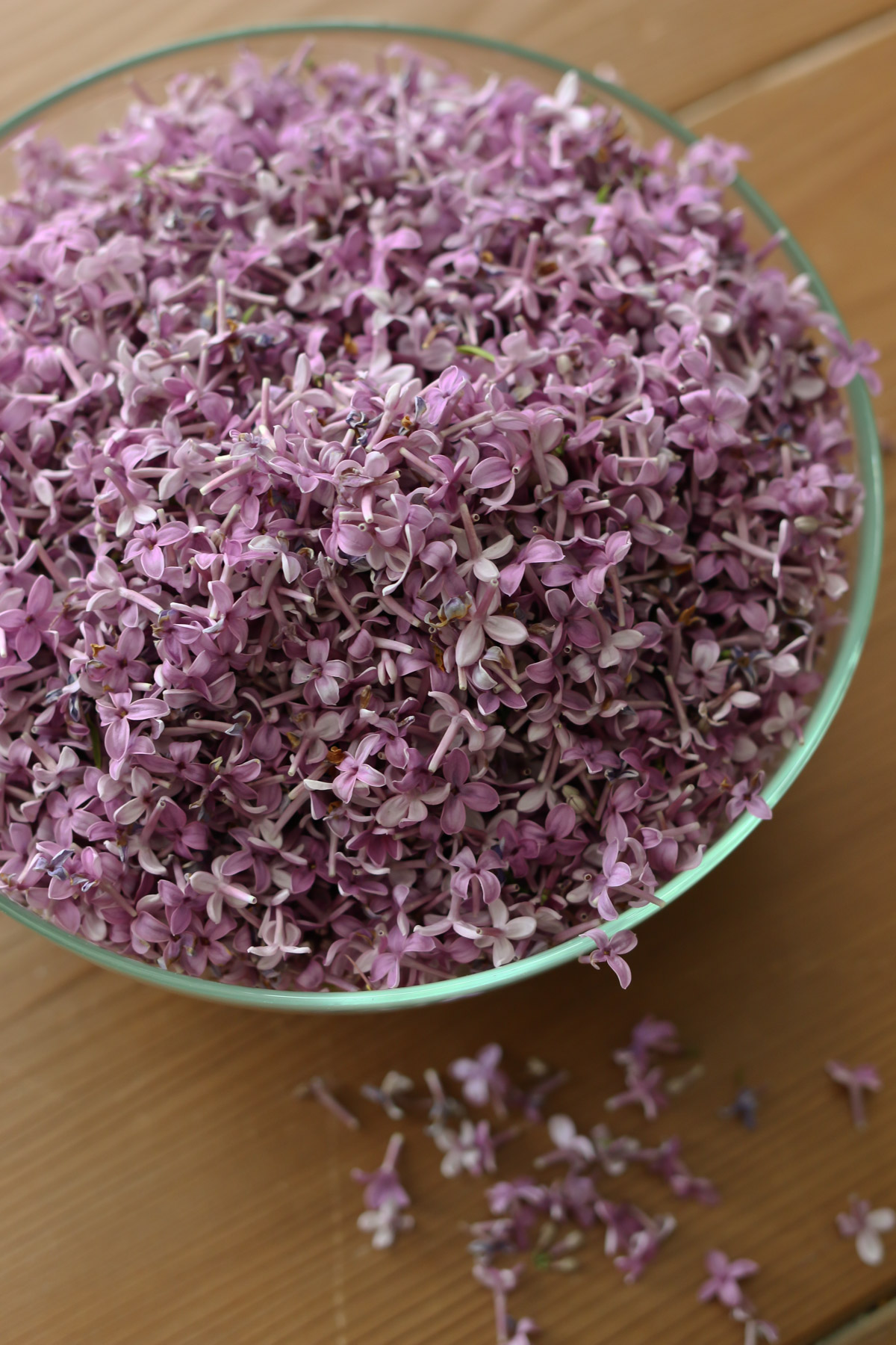 A glass bowl holds lilac blossoms that have been plucked from their stems