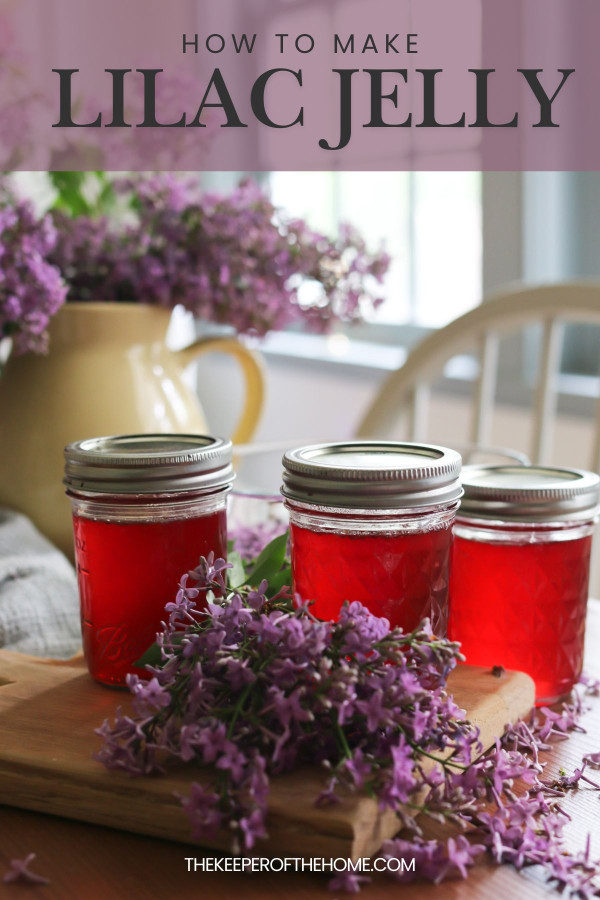 3 glass jars hold vibrantly pink lilac jelly