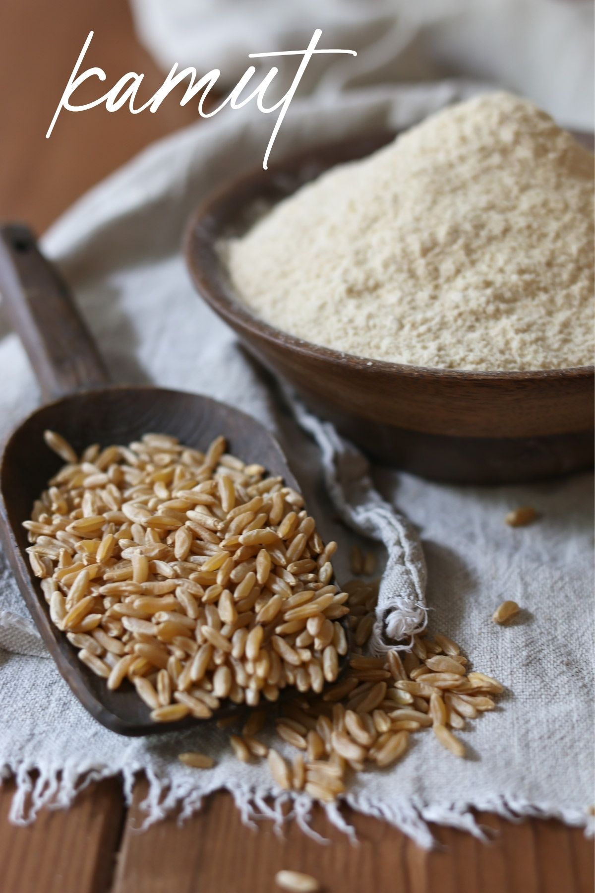 A large scoop of kamut berries rests next to a bowl of freshly milled kamut flour