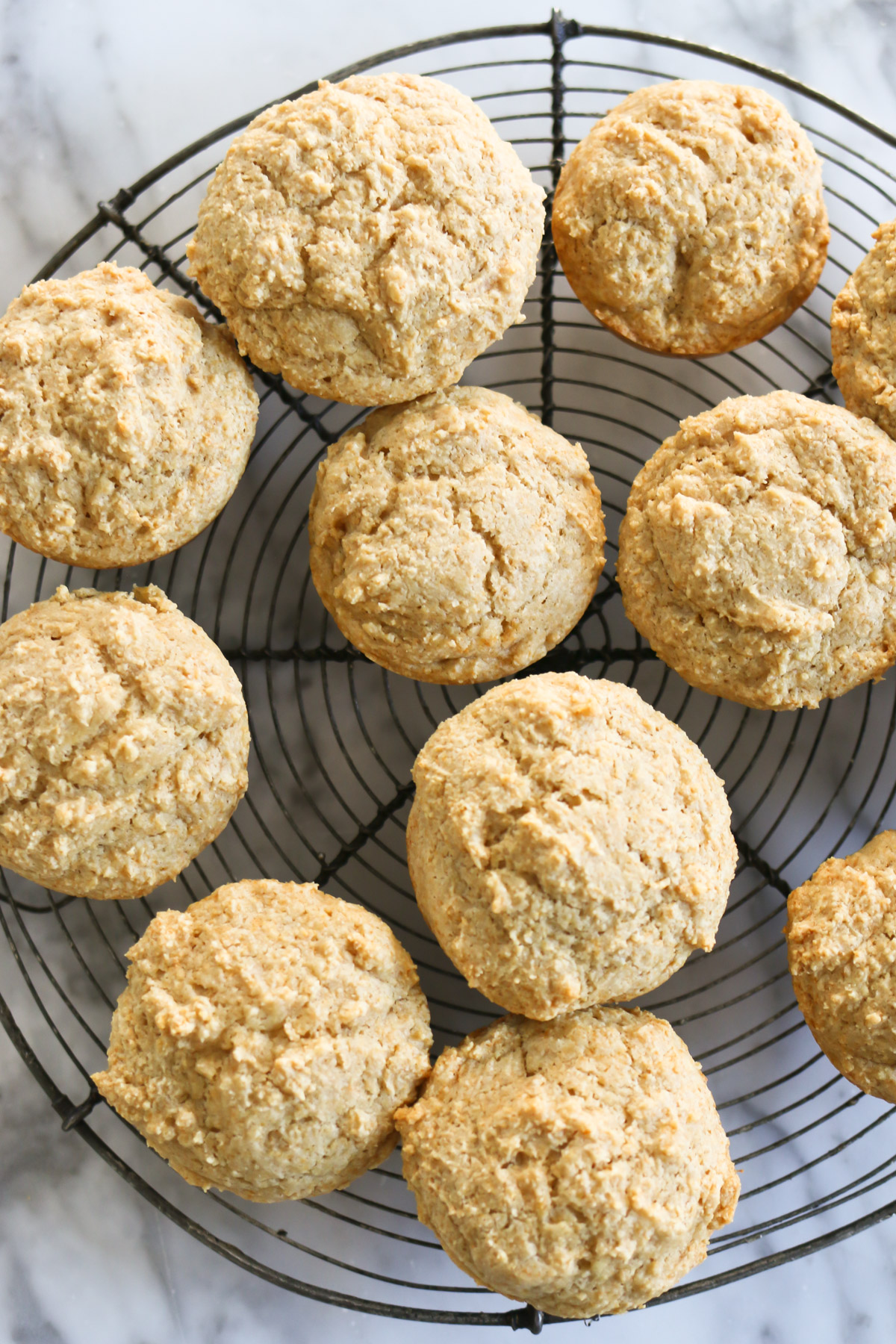 A batch of homemade whole wheat muffins made with yogurt and freshly milled flour