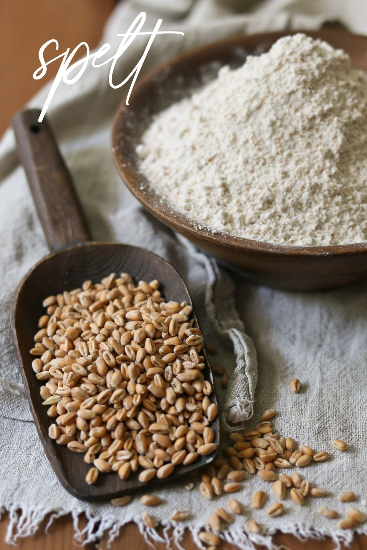 A bowl of spelt flour next to a scoop of whole spelt berries