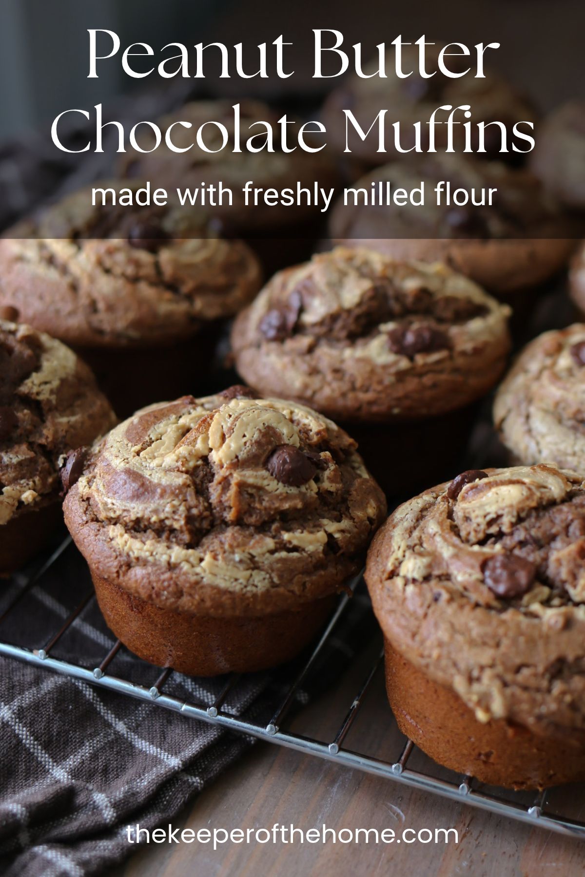 A batch of healthy peanut butter chocolate muffins